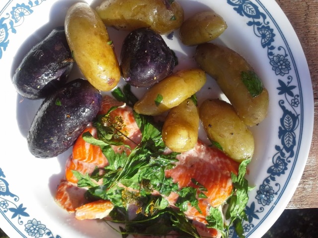 salmon and potatoes july 2015
